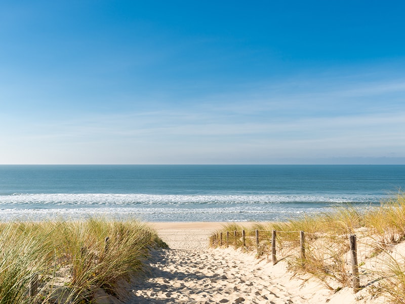 appartement a louer à la semaine Cap d'agde